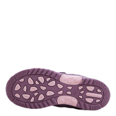 Cascade 2.0 Purple