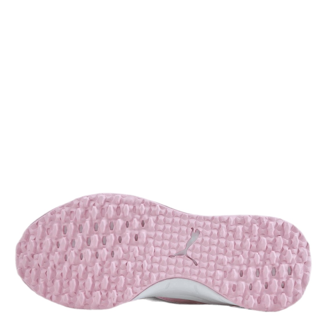 Fusion Evo Pink