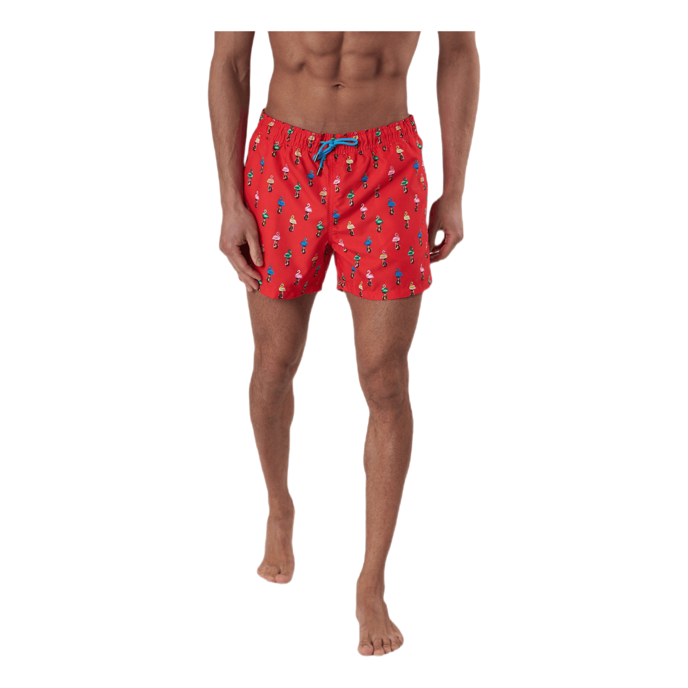 Flamingo Swimshorts Red