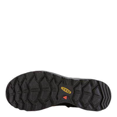 Citizen Evo WP Black