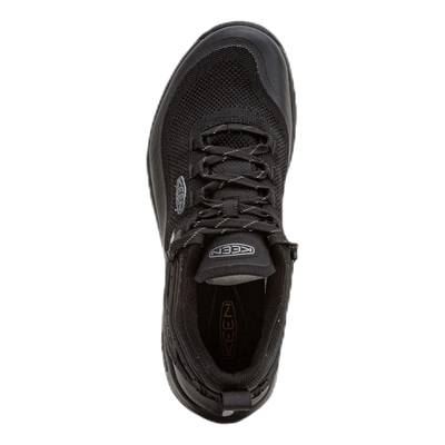 Citizen Evo WP Black