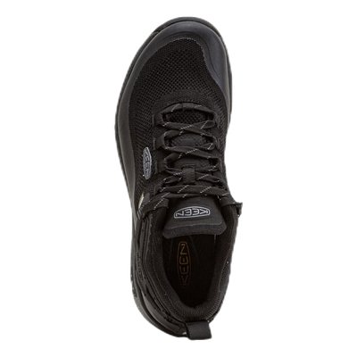 Citizen Evo WP Black