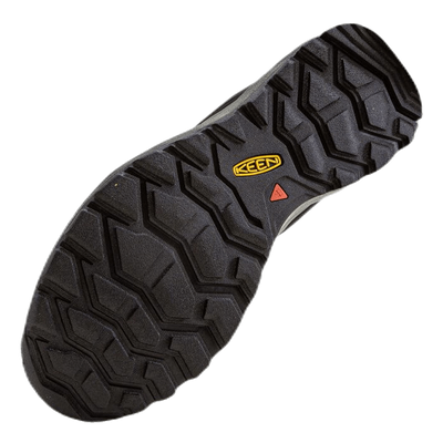 Citizen Evo WP Black