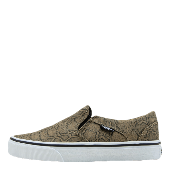 Asher Patterned