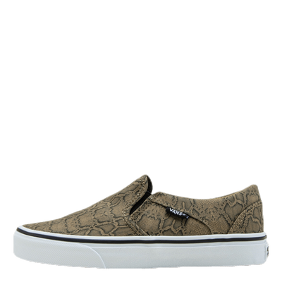 Asher Patterned