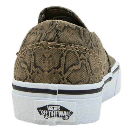 Asher Patterned