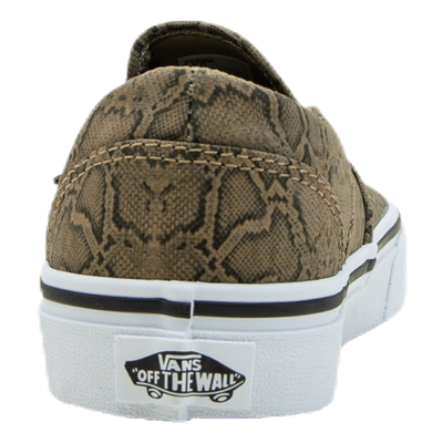 Asher Patterned