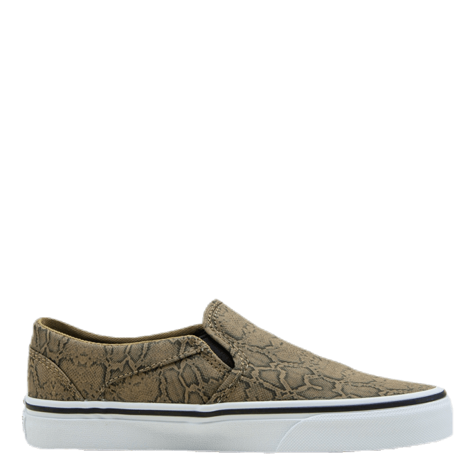 Asher Patterned