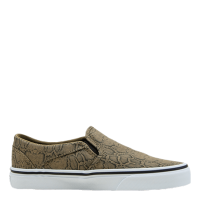 Asher Patterned