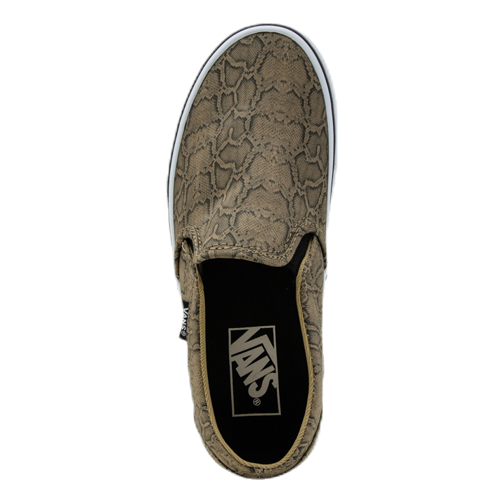 Asher Patterned