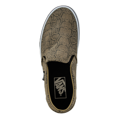 Asher Patterned
