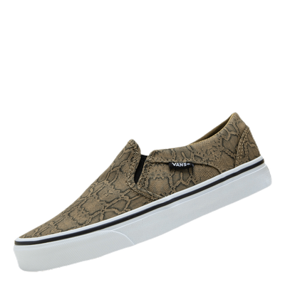 Asher Patterned