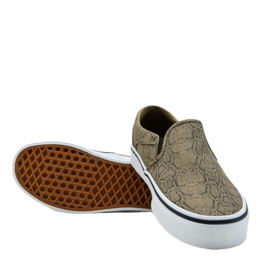 Asher Patterned