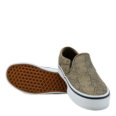 Asher Patterned