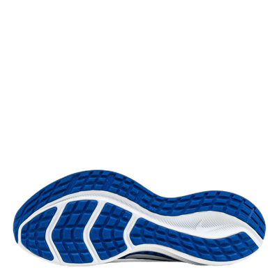 Downshifter 10 Blue/White