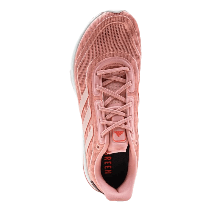 Supernova Shoes Glow Pink / Glow Pink / Signal Pink / Coral