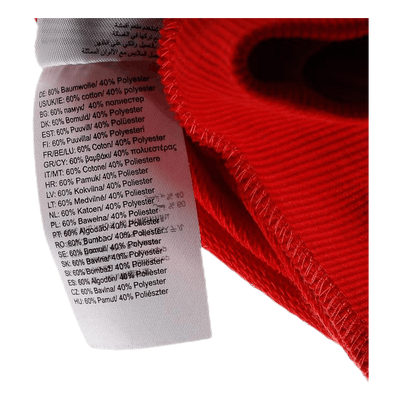 Core 2.0 Hood Jacket W Grey/Red