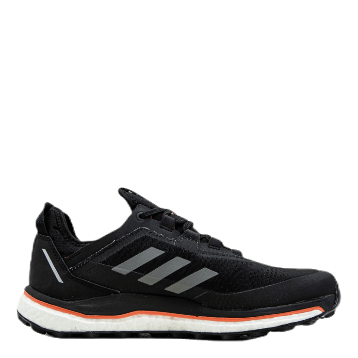 Terrex Agravic Flow GTX Black adidas –