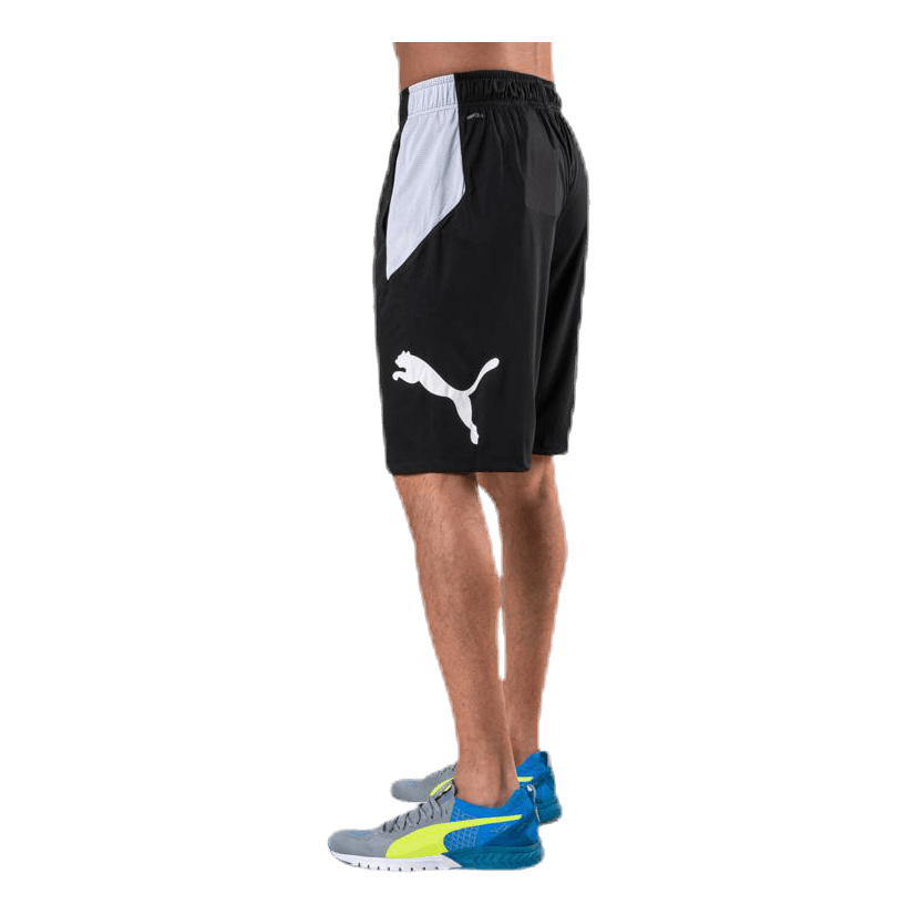 Cat Short White/Black