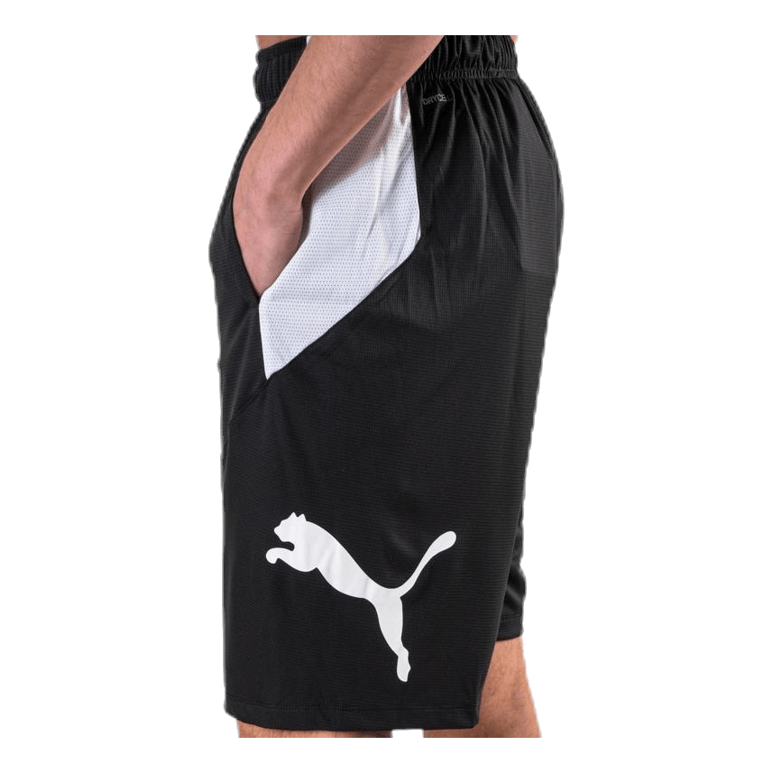 Cat Short White/Black