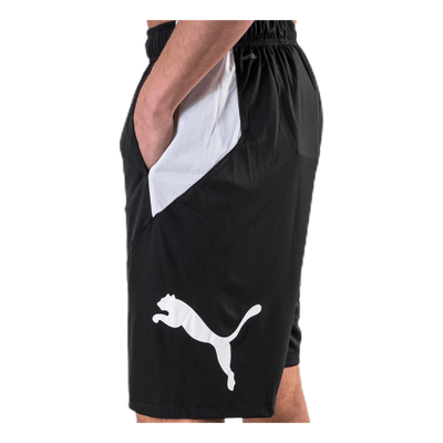 Cat Short White/Black