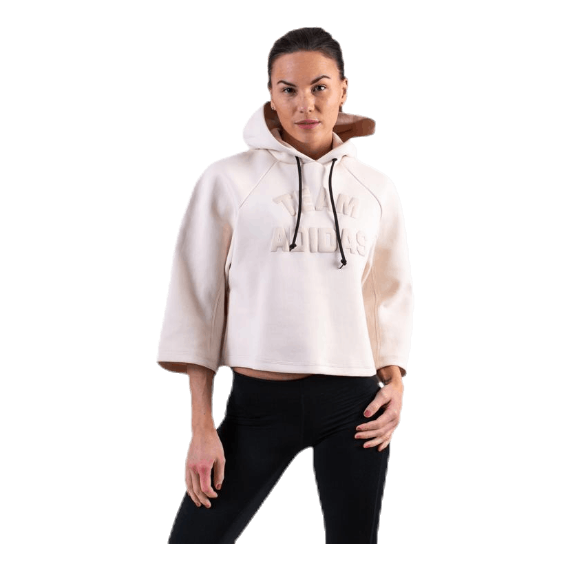 VRCT Hoodie Purple