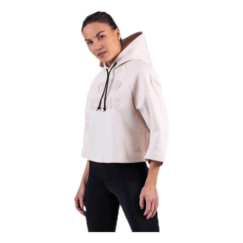 VRCT Hoodie Purple