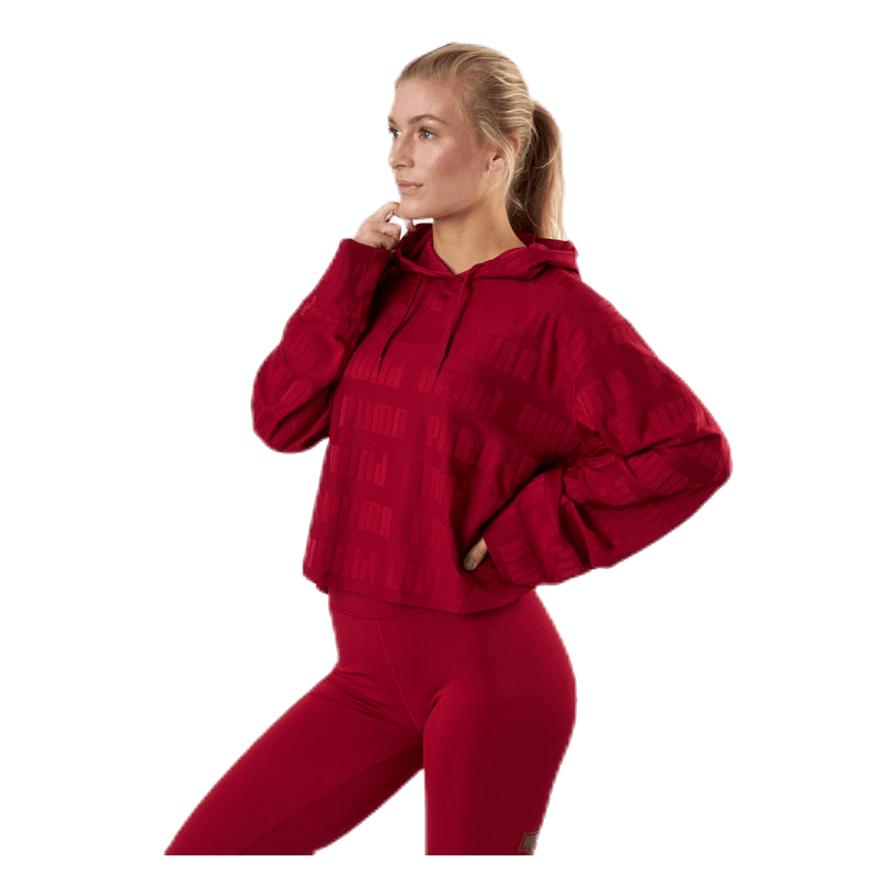 Train First Mile Mono Hoodie Red