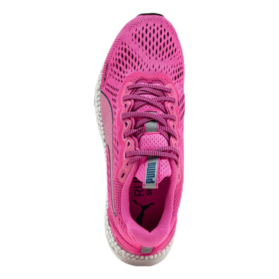 Speed 600 2 Pink/Blue