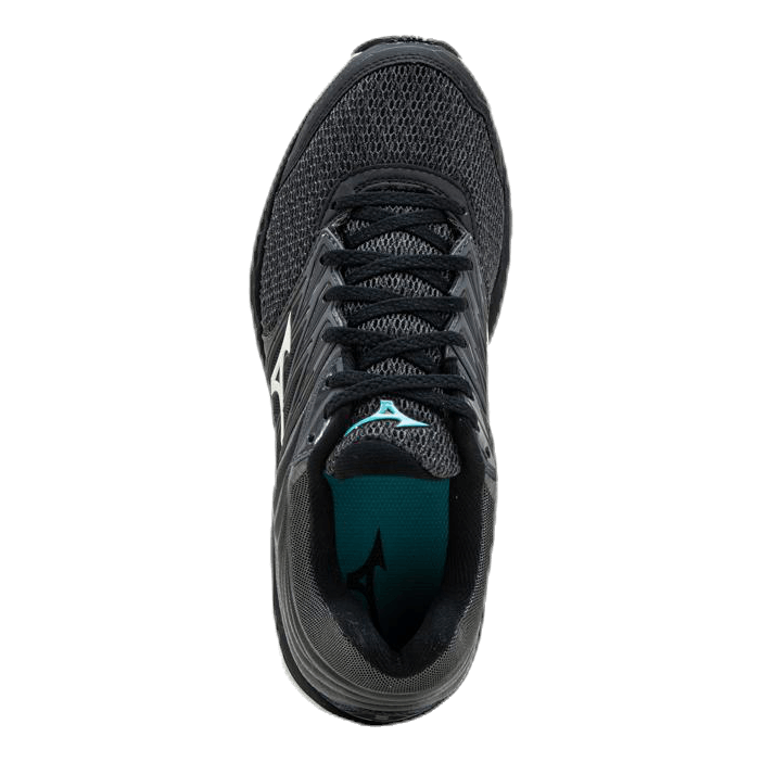 Wave Paradox 5  Patterned