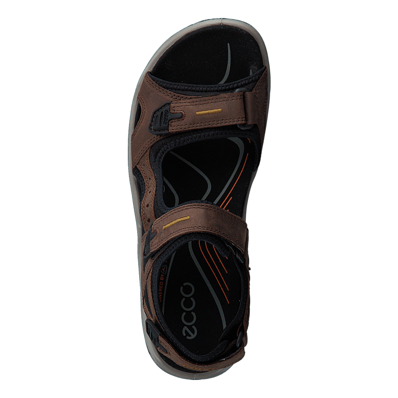 Offroad Espresso/ Cocoa Brown/ Black