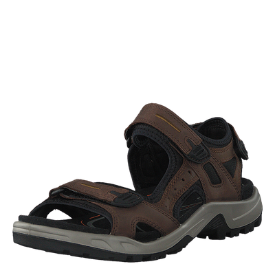Offroad Espresso/ Cocoa Brown/ Black