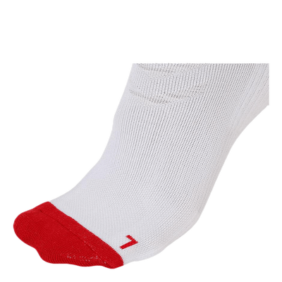 Elite Indoor Sock High White/Red