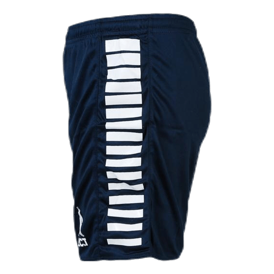 Player Shorts Argentina Blue