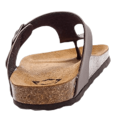 Aragon Brown