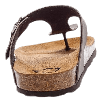 Aragon Brown