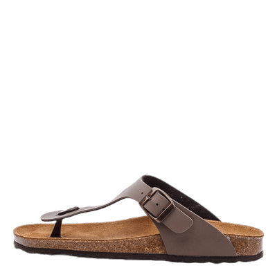 Aragon Brown