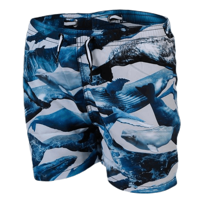 Niko Swim Shorts Blue