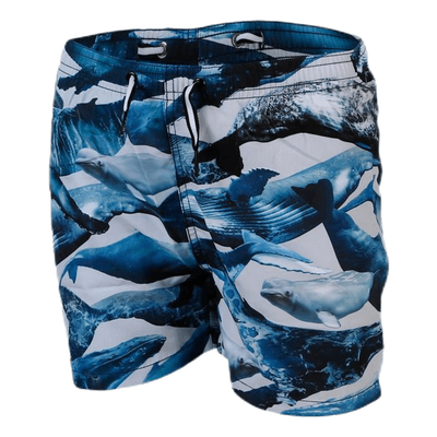 Niko Swim Shorts Blue