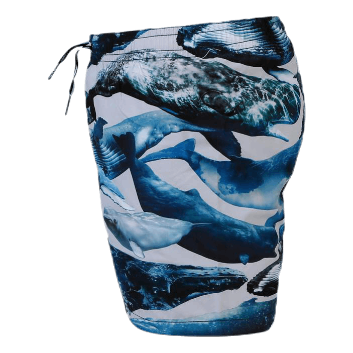 Niko Swim Shorts Blue