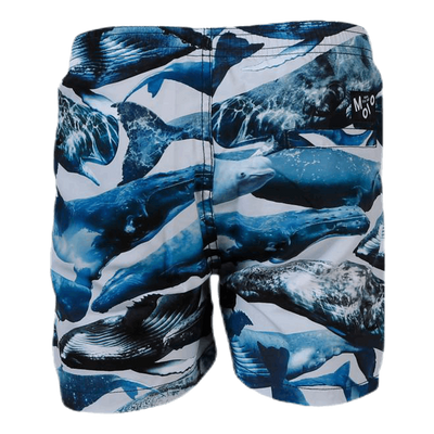 Niko Swim Shorts Blue
