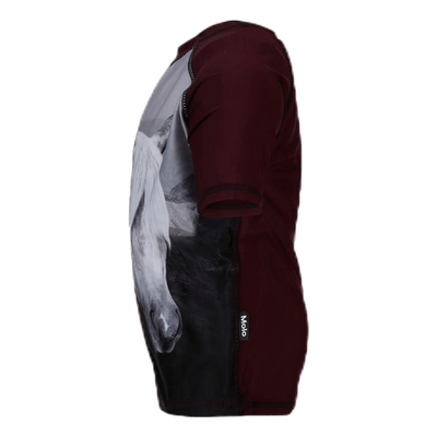 Neptune Rashguard Purple