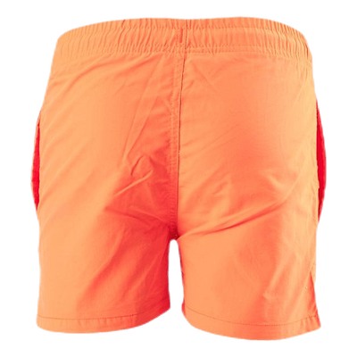 Eyemouth Basic Shorts Orange
