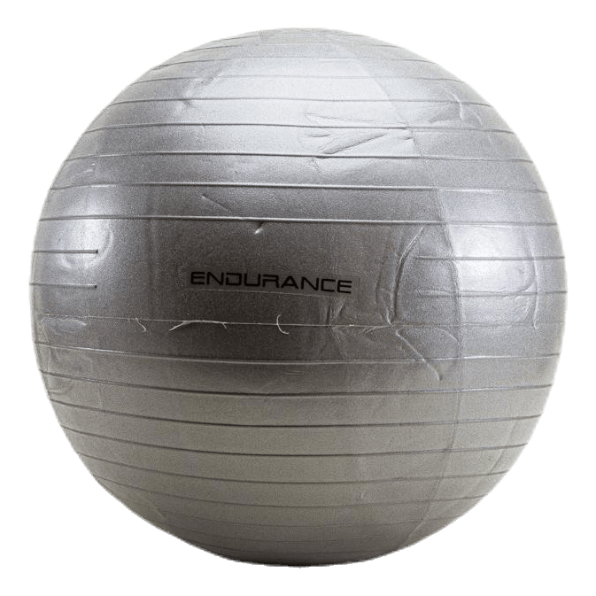 Gym ball 55 CM Silver