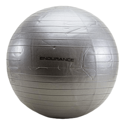 Gym ball 55 CM Silver