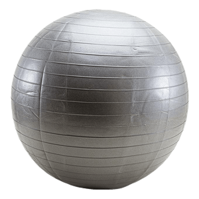 Gym ball 55 CM Silver