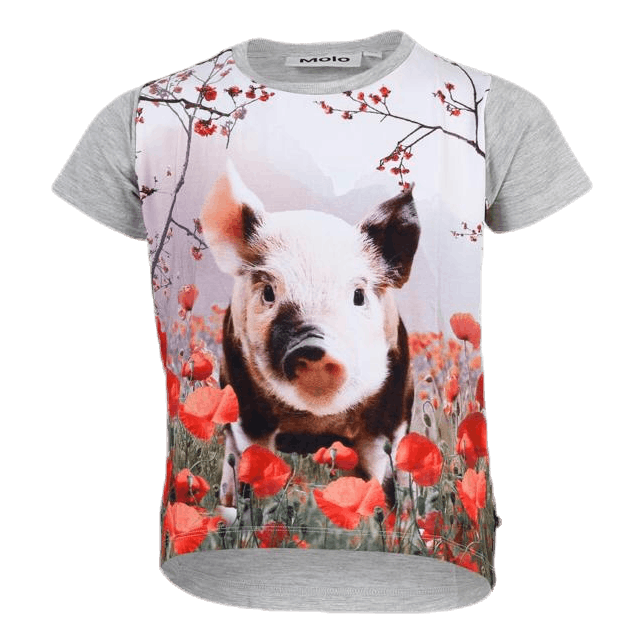 Risha Piglet Grey