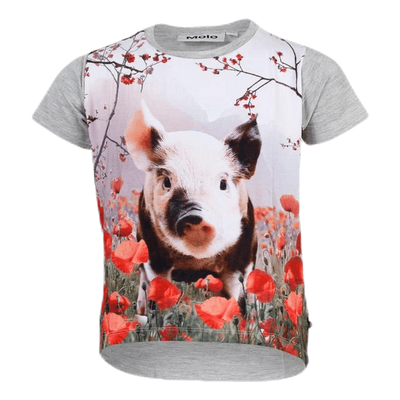 Risha Piglet Grey