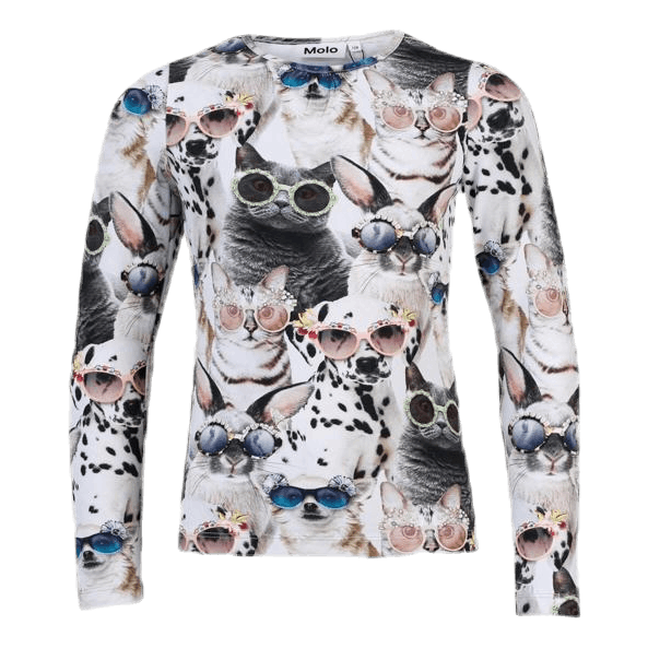Rose Sunny Funny Grey