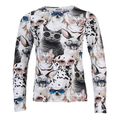 Rose Sunny Funny Grey